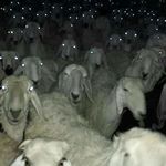 @johnspeelman2022 - Instagram