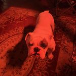 John Speer - @john.speer.9 - Instagram