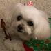 John Speer - Facebook