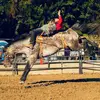 johnspeer759 - @johnspeer759 - TikTok