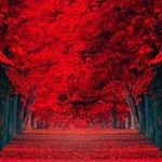 john speight - @josh_shooter - Instagram