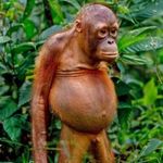 John Speight - @cockwombling_ - Instagram