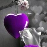 John spinelli - @johnspinelli103 - Instagram