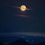 JOHN SPINELLI - @johnspinelli2036 - Instagram