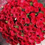 John spinelli - @johnspinelli20 - Instagram