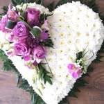 John spinelli - @johnspinelli328 - Instagram