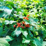 John Spinelli - @john2235446 - Instagram