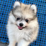 John 🐾 - @johnspitz20 - Instagram