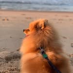 John John - @john_john_spitz - Instagram
