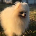 john John - @john.johnspitz - Instagram