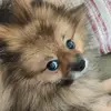 John Paul Jones - @johnspitz - TikTok