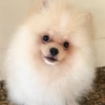 John Spitz Alemao - @johnspitzalemao - Instagram