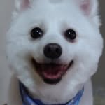 Yasu T Spitz John - @john_spitz1212 - Instagram