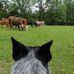 John Sprayberry - Facebook