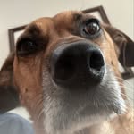John Springer - @johnspringer906 - Instagram