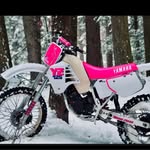 John Springer - @johnspringer35 - Instagram