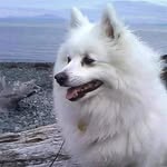 john springer - @johnspringer45 - Instagram