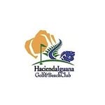 John Springfield - @haciendaiguanaconcierge - Instagram
