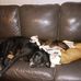 Johnathan Springfield - Facebook