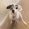John Springs - @badbluestitch - TikTok