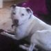 John Sproston - Facebook