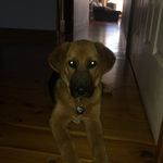John Sproule - @ll_lloyd_dj - Instagram