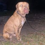 John-robert Spurling - @johnrobertspurling - Instagram