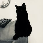 John Stack - @stackerrrrr - Instagram