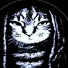 John Stacy - @john.stacy24 - TikTok