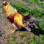 John Stacy - @john.stacy.94695 - Instagram