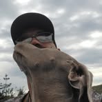 John Stacy - Facebook
