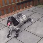 John Staley - @john.staley.7161 - Instagram