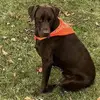 John Staley - @john.staley2 - TikTok