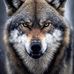 John Staley - Facebook