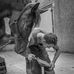 John Stalker Farrier Ltd - Facebook