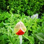 John Standing - @standing806 - Instagram
