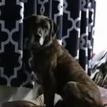John H. Staples - @johnstaples28 - Instagram