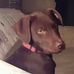John Stargel - Facebook