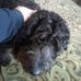 John Stark - Facebook