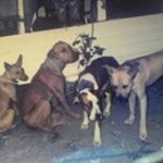 John Starkey - @johnstarkey09 - Instagram