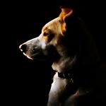 John Starks - @johnstarksphoto - Instagram