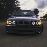John Starling - @johnnycanfish - Instagram