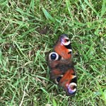 John Starling - @john.starling.7798 - Instagram