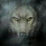 John Staszak - @alaskaaceswolf - Instagram