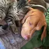 John Stclair - @john.stclair2 - TikTok