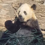 John St.Cyr - @st.cyrjohn - Instagram