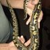 John Stefanich - Facebook