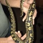 John Stefanich - @stefanichjohn - Instagram