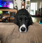 Joann Staffenhagen - Facebook