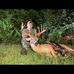 John Stegman - Facebook